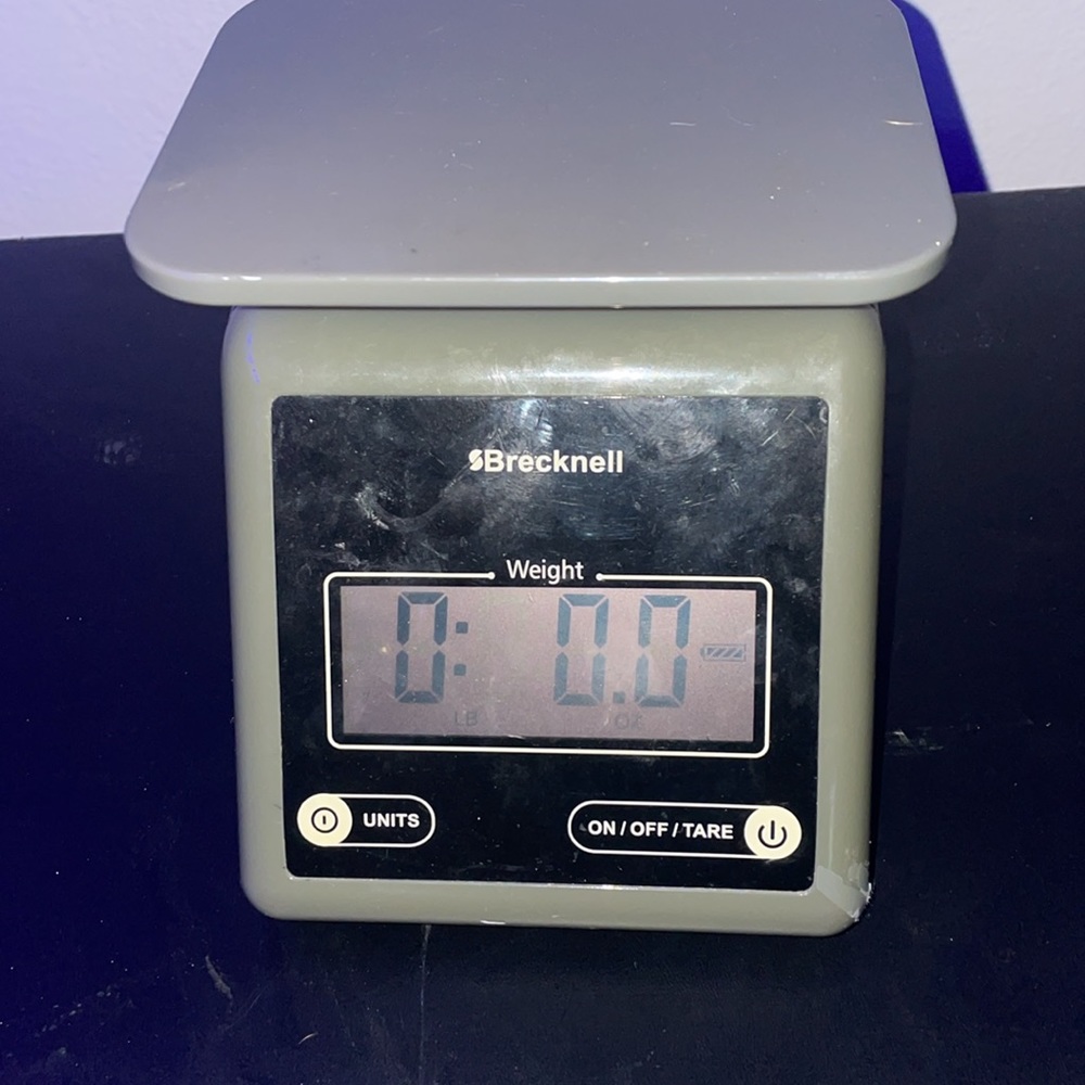 Scale - Picture 2 of 4